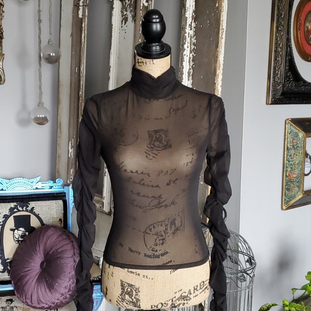 Sheer long ruched sleeves and mock neck top